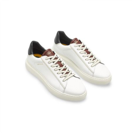 AMBITIOUS-SBIT-AM-11677D-6079AM,W/C/F